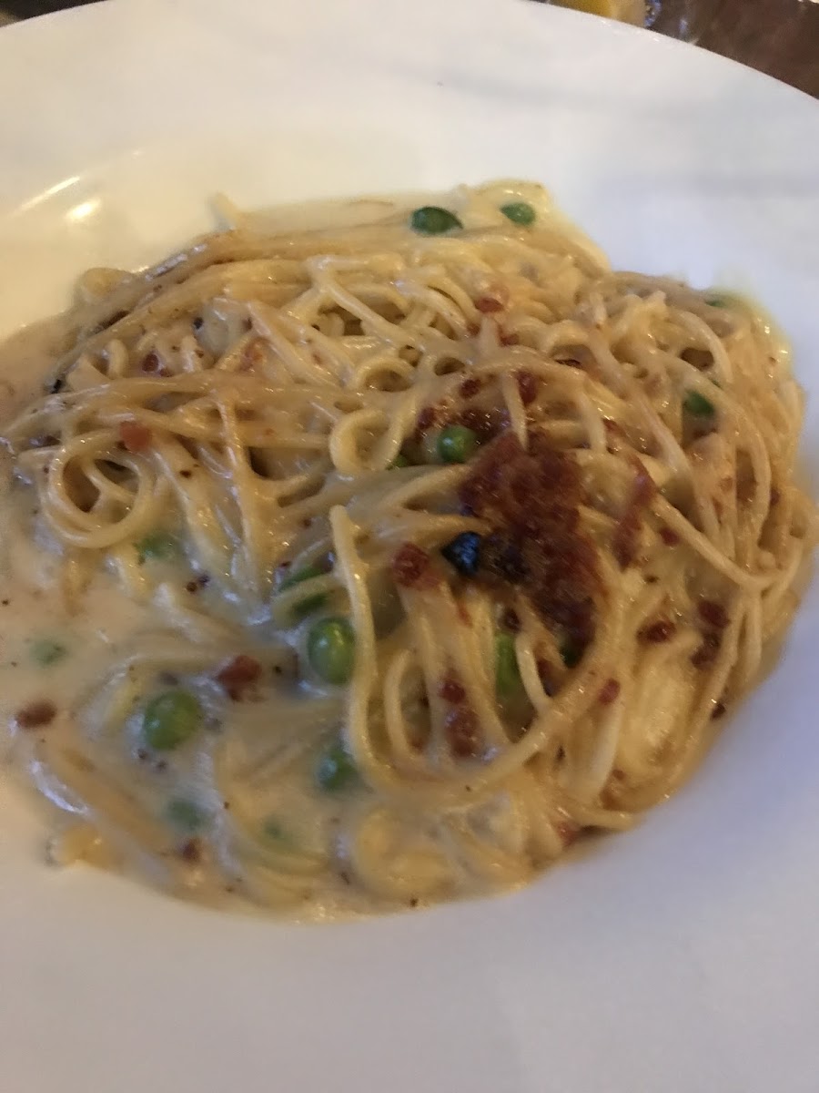 Boss Dog Brewing Co.-8